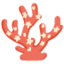 :coral: