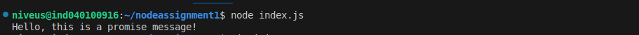 step2_promise_msg_log.png