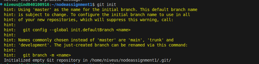 step3_git_initialization.png